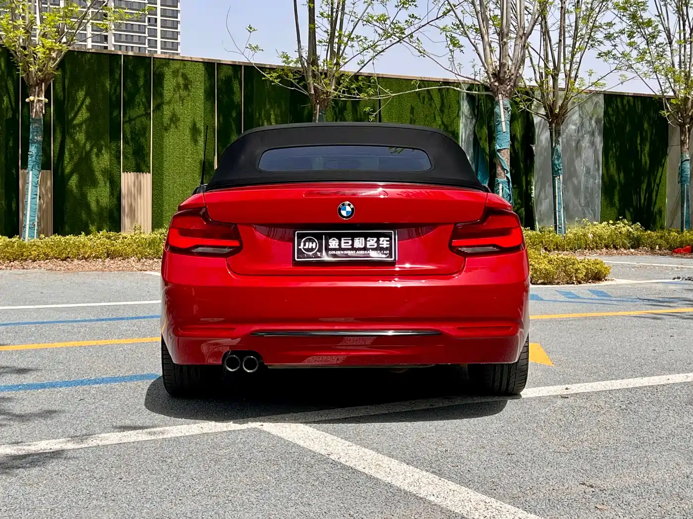 BMW 2 Series (Import) 2019 225i Convertible Coupe Sport Design Package фото 17