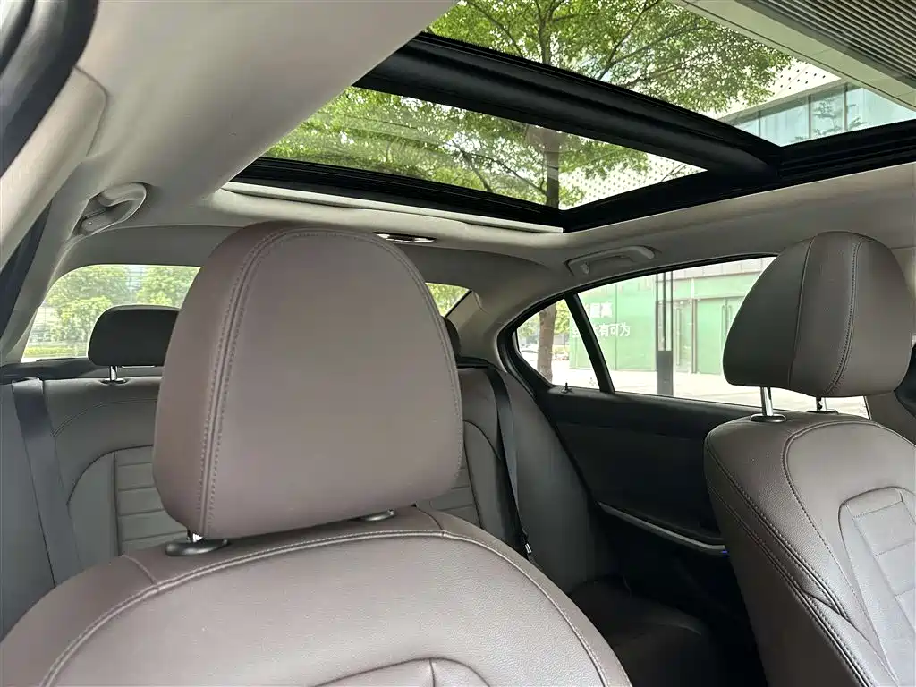 BMW 3 Series 2021 325Li M Sport Night Edition фото 20