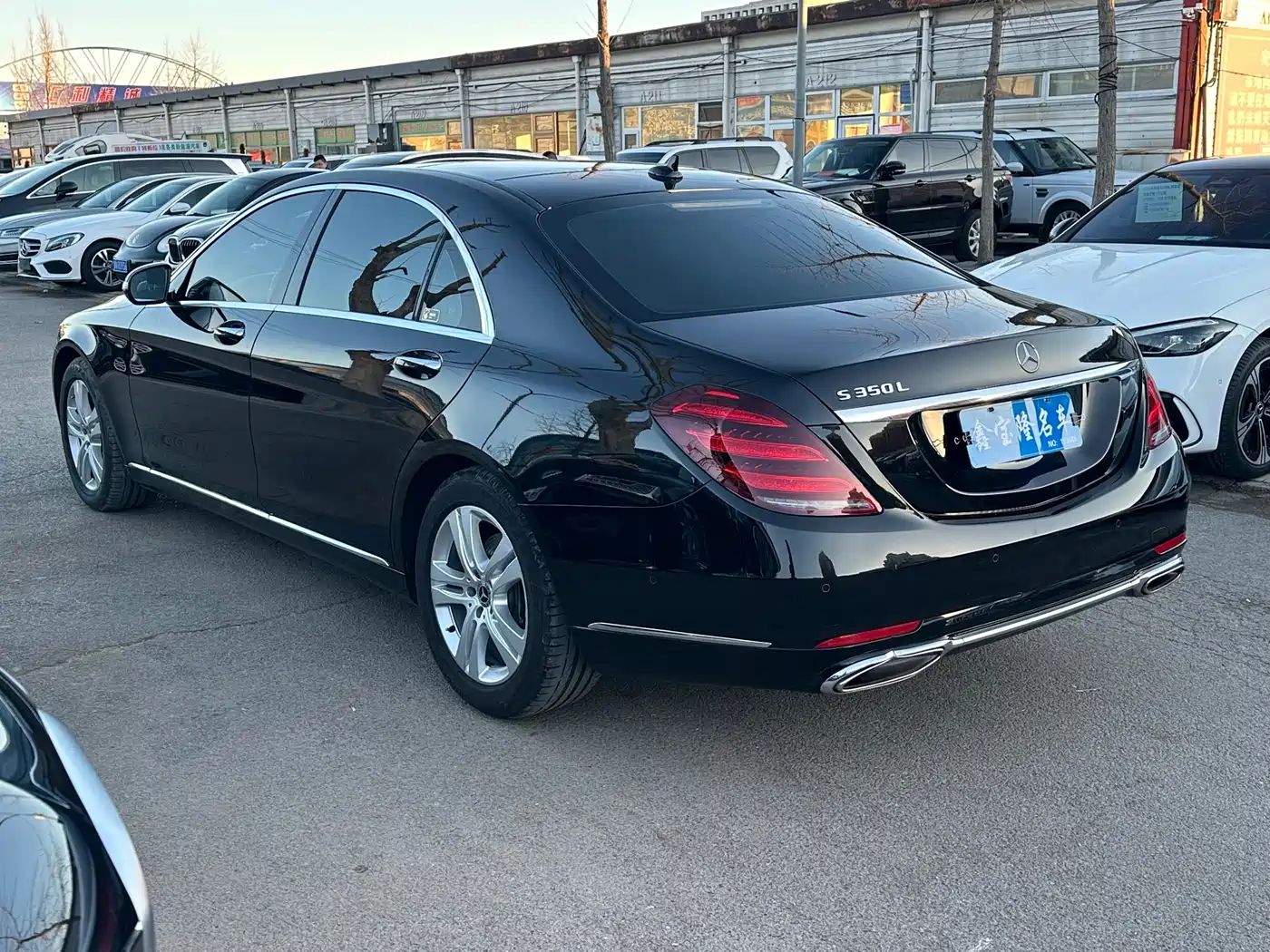 Mercedes-Benz S-Class 2018 S 350 L фото 16