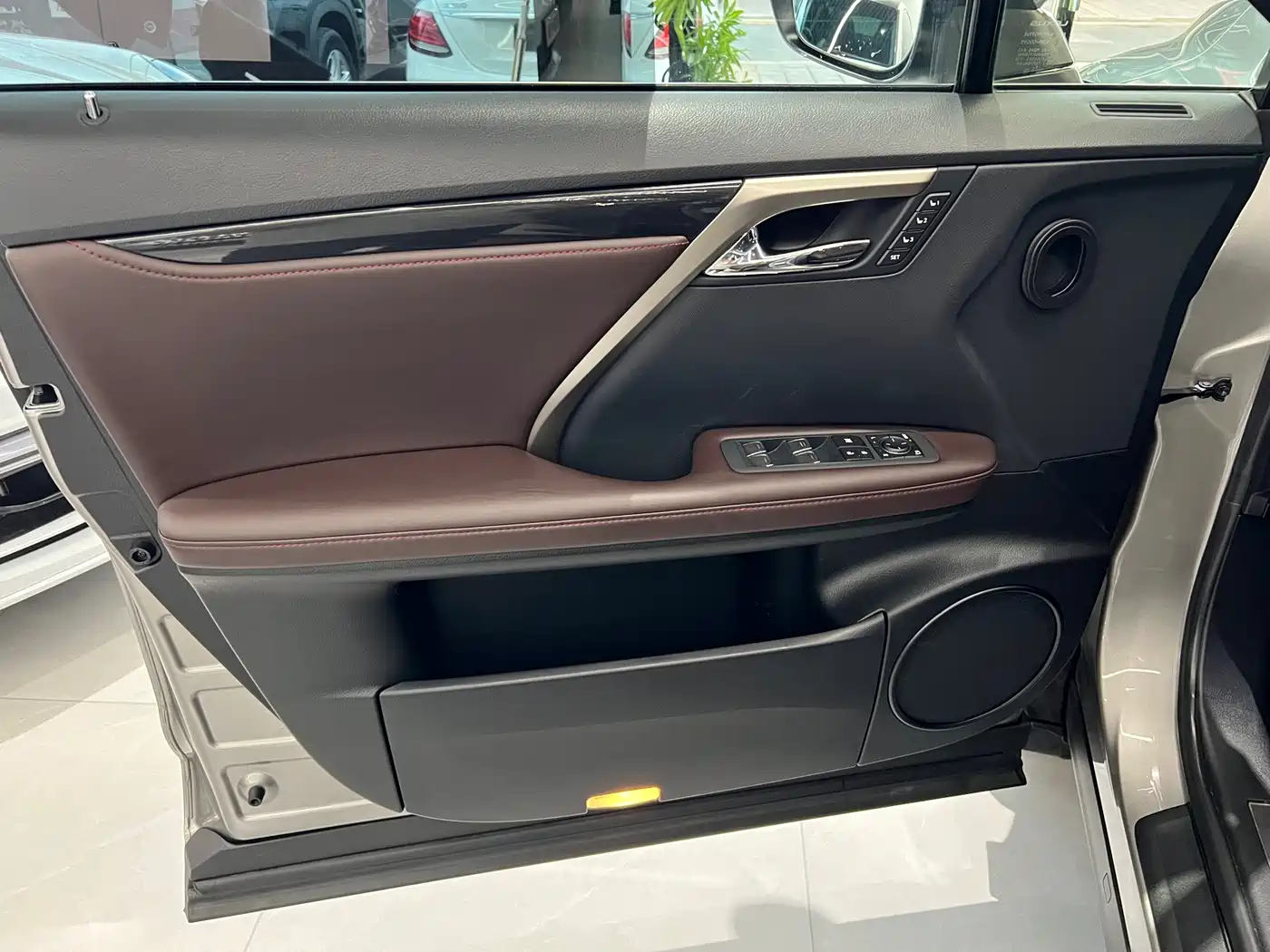 LEXUS RX