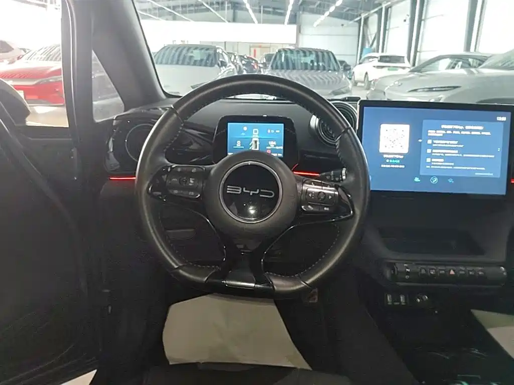 BYD Dolphin 2023 401km Knight Edition фото 11