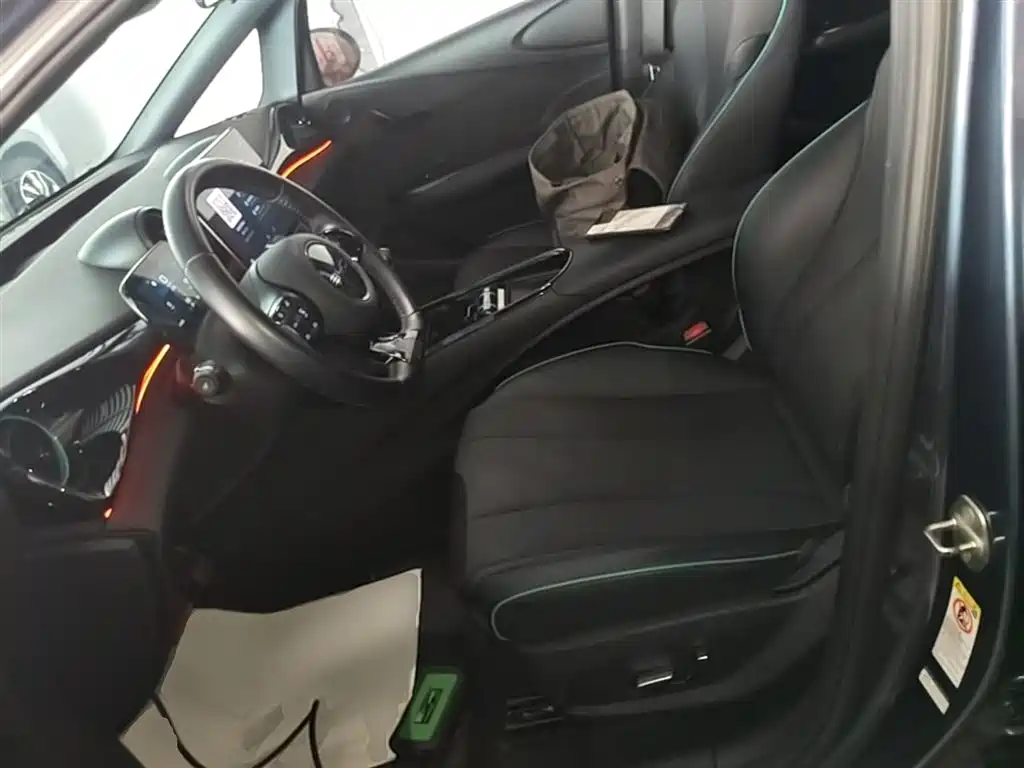 BYD Dolphin 2023 401km Knight Edition фото 15