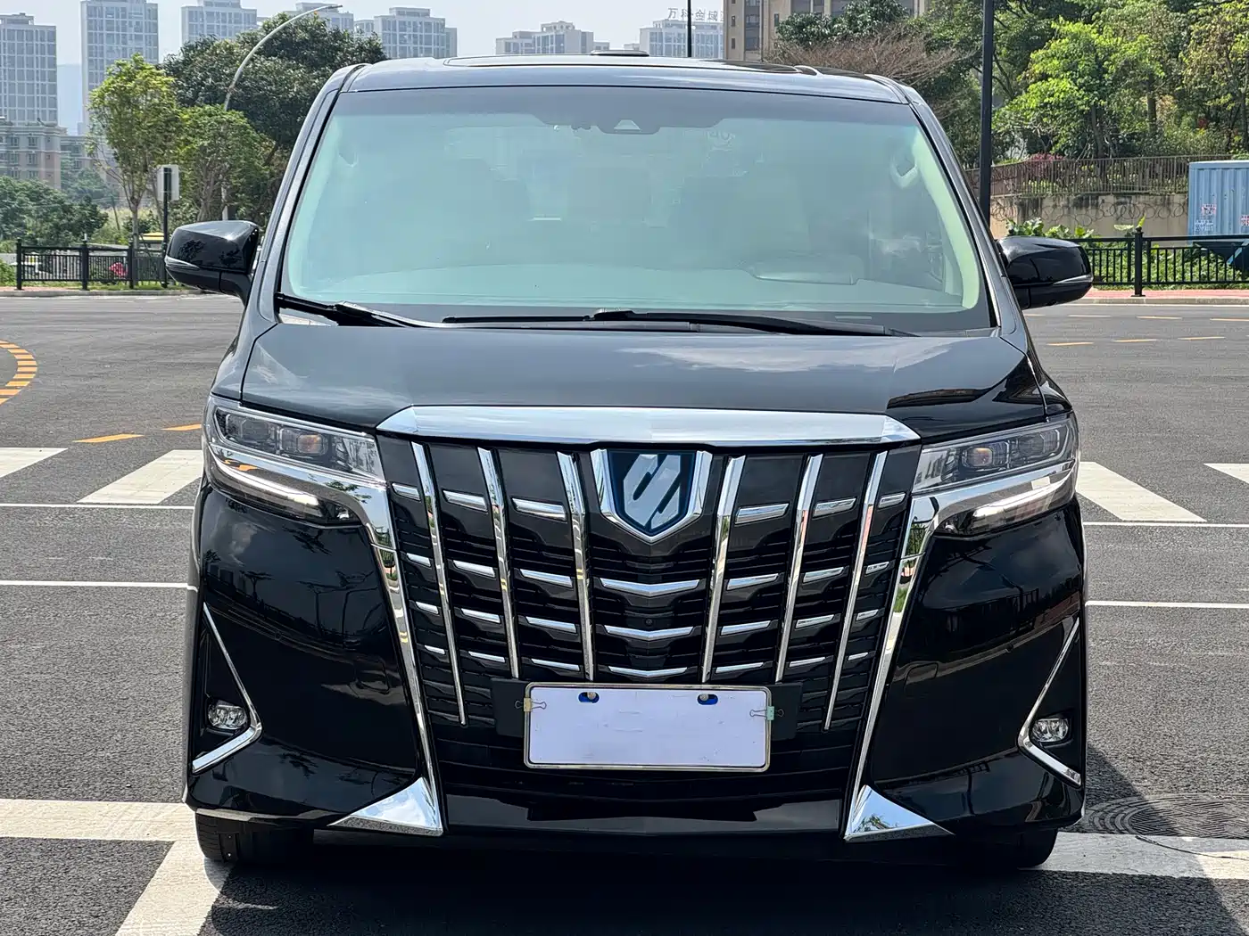 Toyota Alphard 2020 Hybrid 2.5L Luxury Edition фото 2