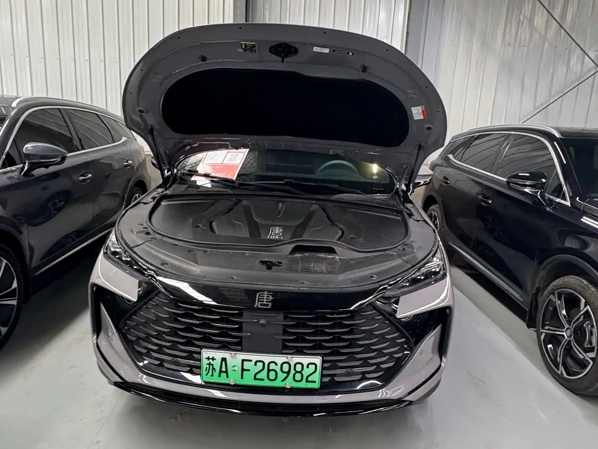 BYD Tang New Energy 2025 Smart Driving Edition DM-i 115KM Flagship фото 33