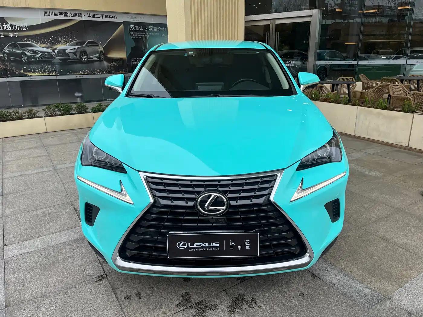LEXUS NX