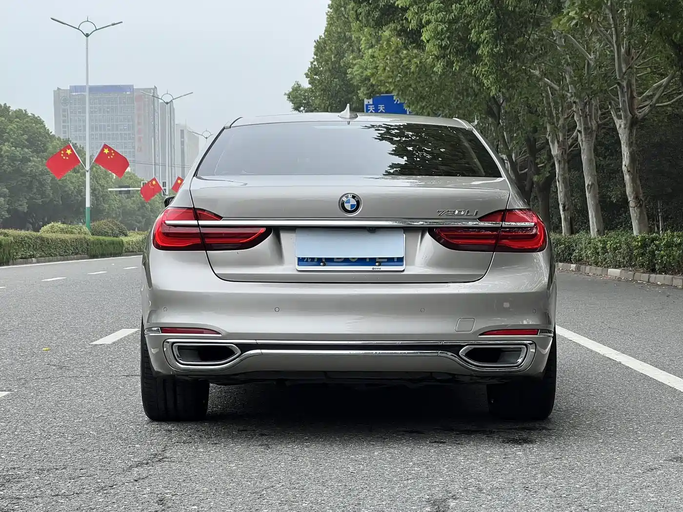 BMW 7 Series 2018 730Li Leading Type Excellence Package фото 17