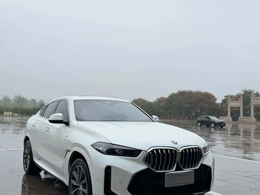 BMW X6 2024 2023 xDrive30i M Sport Package
