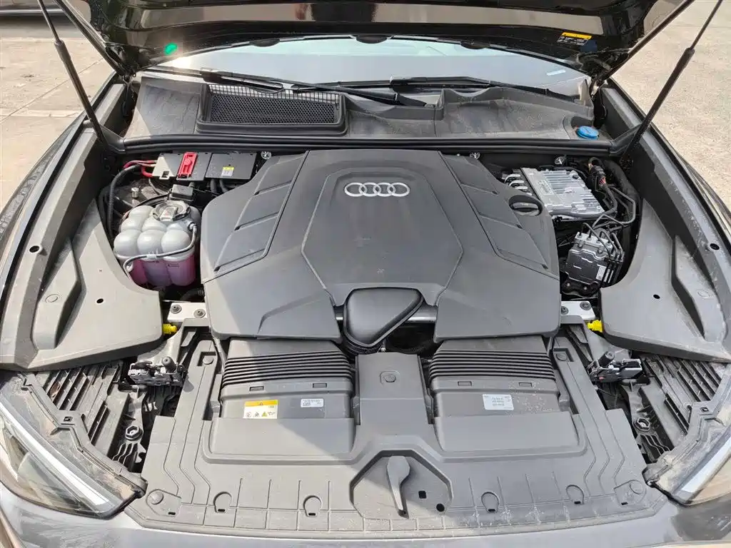 Audi Q8 2024 55 TFSI Luxury Sport фото 17