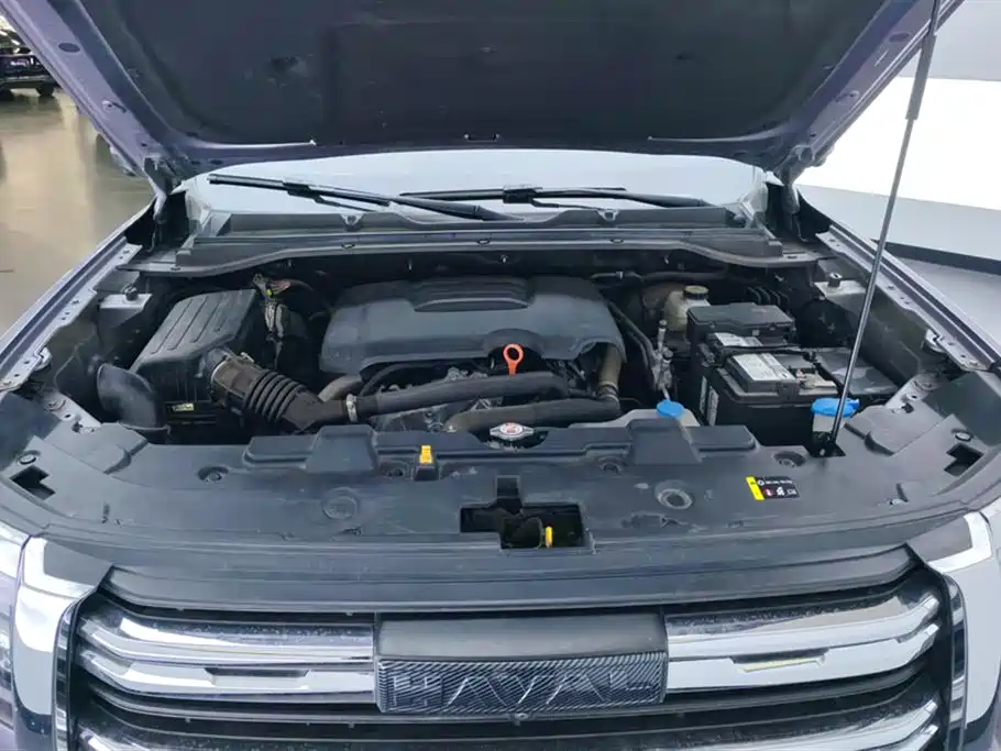 Haval H5 2023 2.0T Automatic AWD Leading Elite Gasoline фото 10