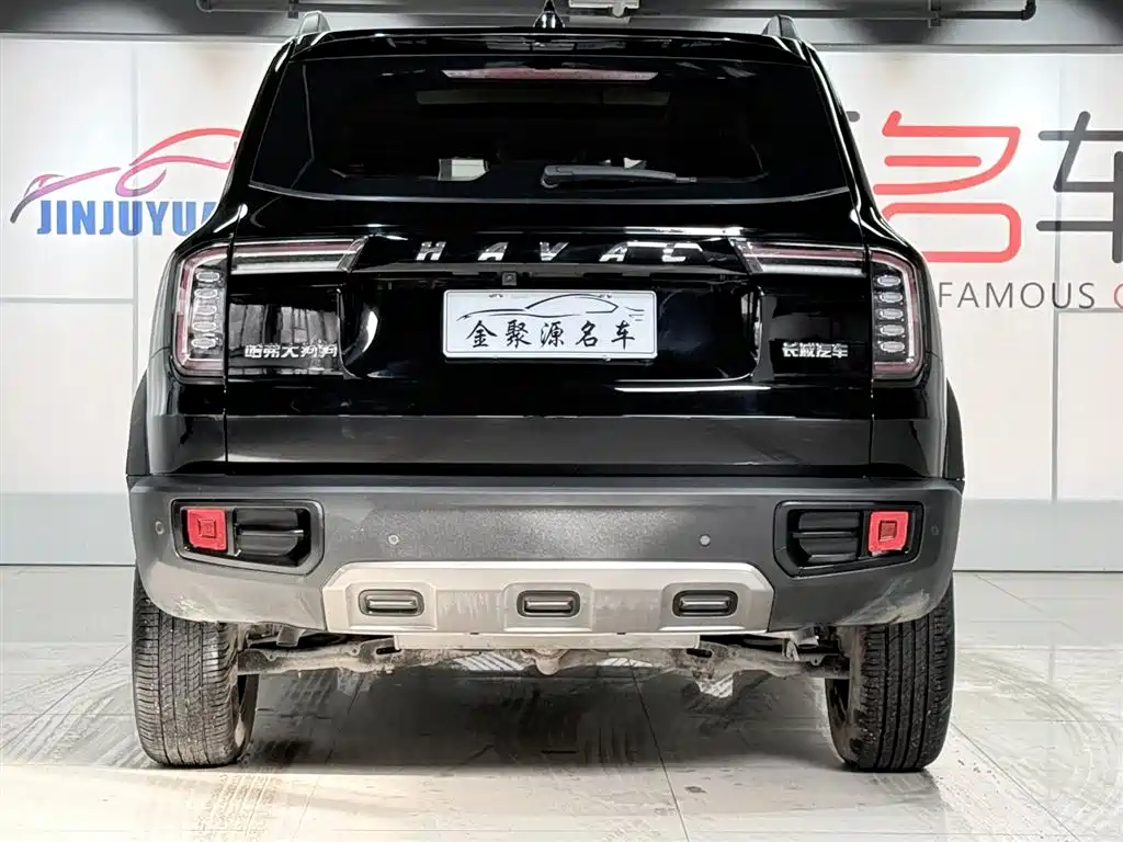 HAVAL BIG DOG