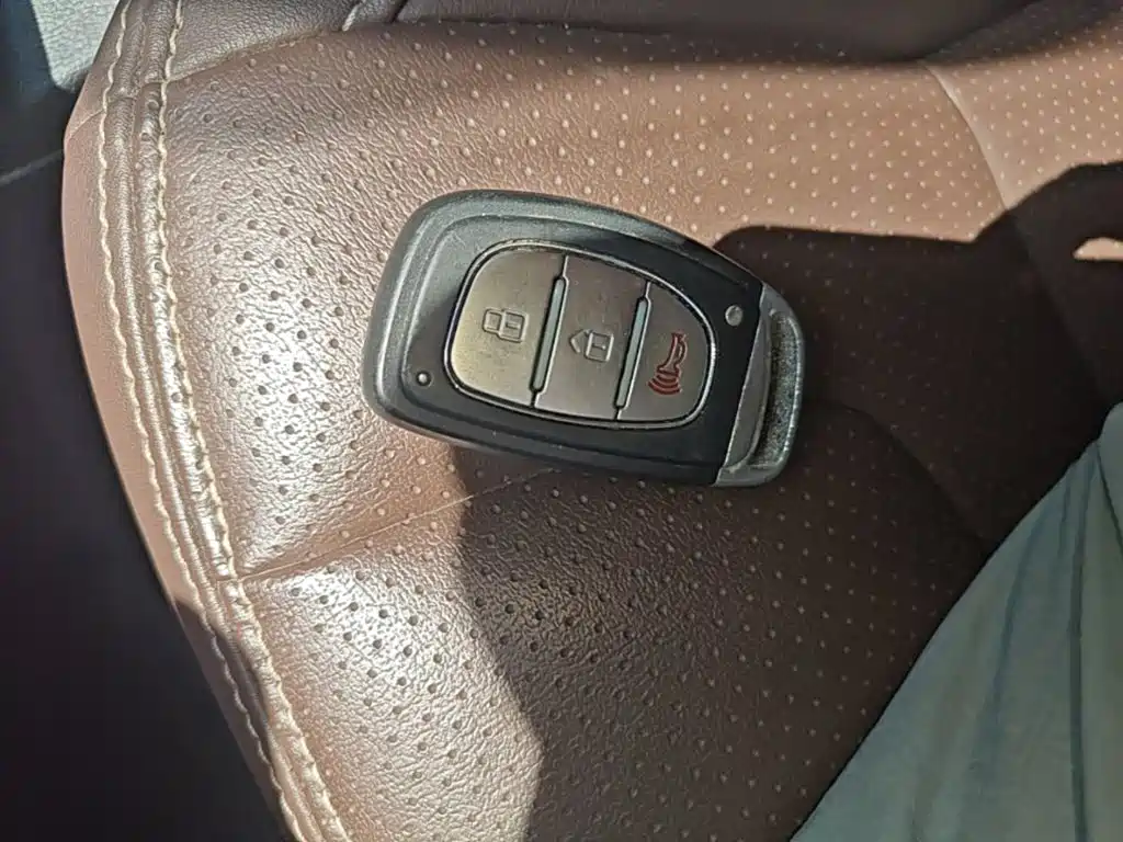 Bisu Auto Bisu T5 2017 2017 1.5T Manual Luxury