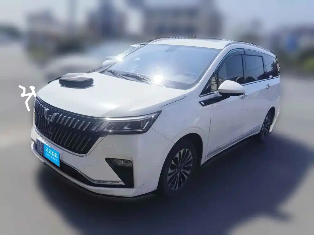 Wuling Motors Wuling Jiachen 2023 2022 1.5T CVT Exclusive Flagship Model