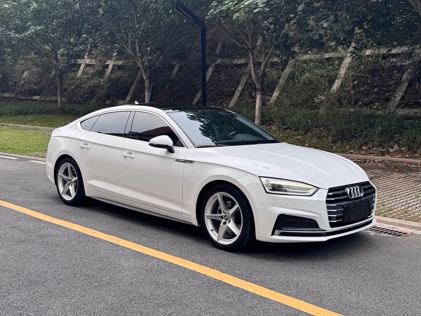 Audi A5 (Import) 2017 Sportback 40 TFSI Fashion фото 3