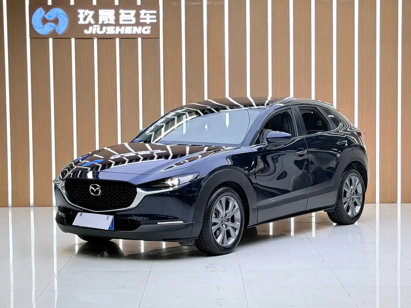 Mazda CX-30 2022 2021 2.0L Auto Elegant Joy Type