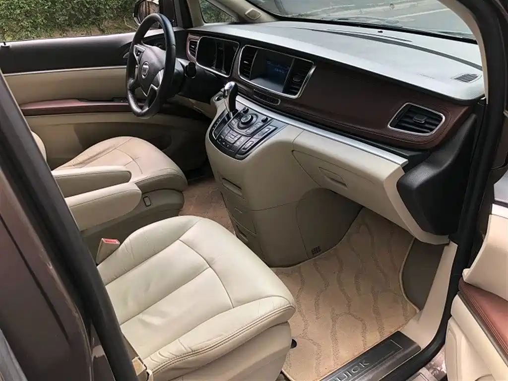 Buick GL8 2015 2.4L Luxury Business Exclusive Edition фото 8
