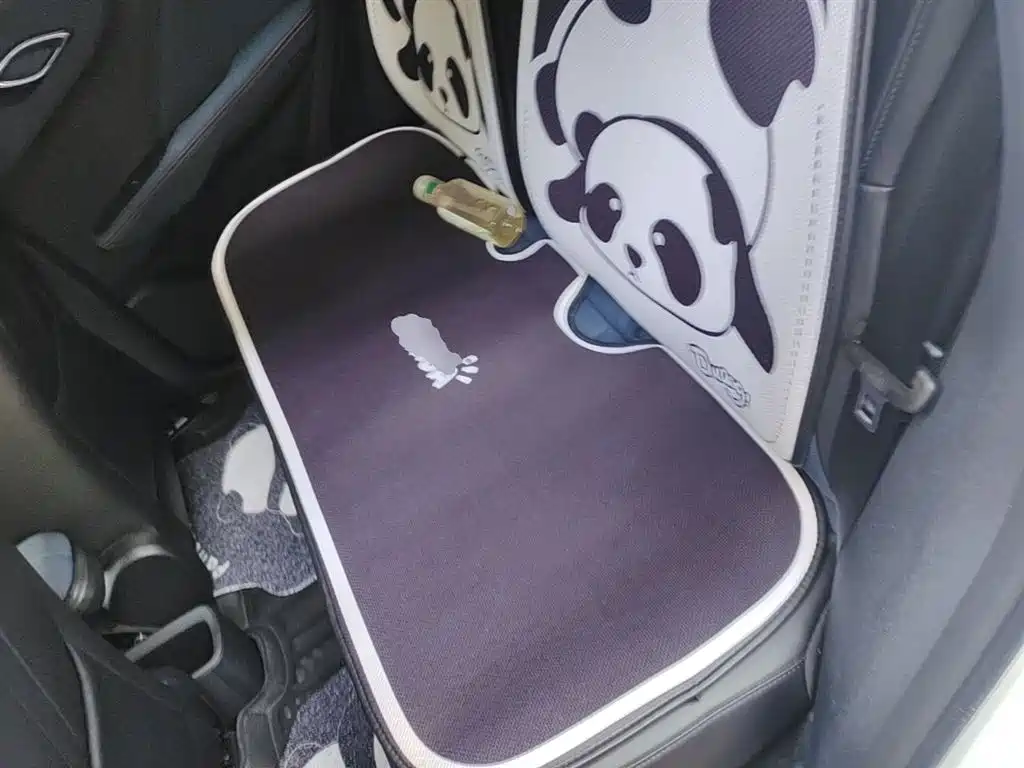 BYD Seagull 2023 Vitality Edition фото 17