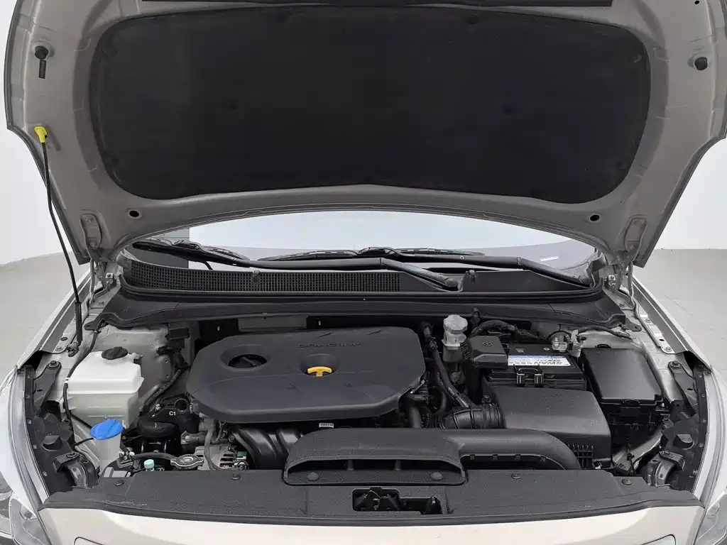 Фото 6 - Hyundai Mistra