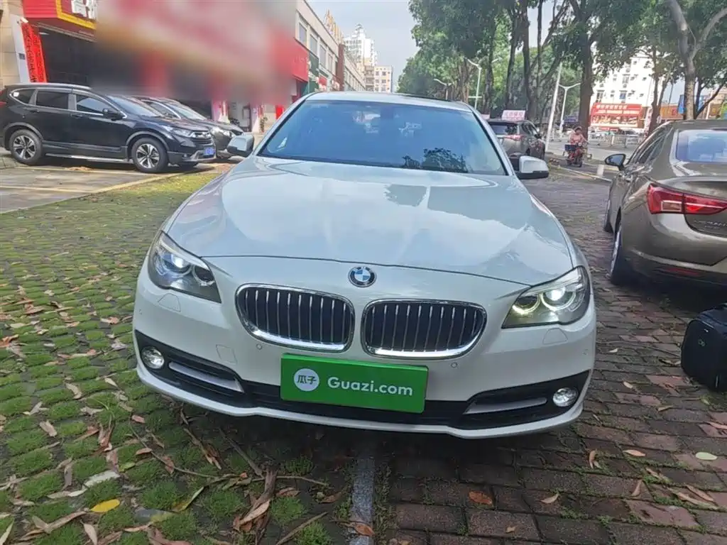 BMW 5 Series 2014 525Li Leading фото 3