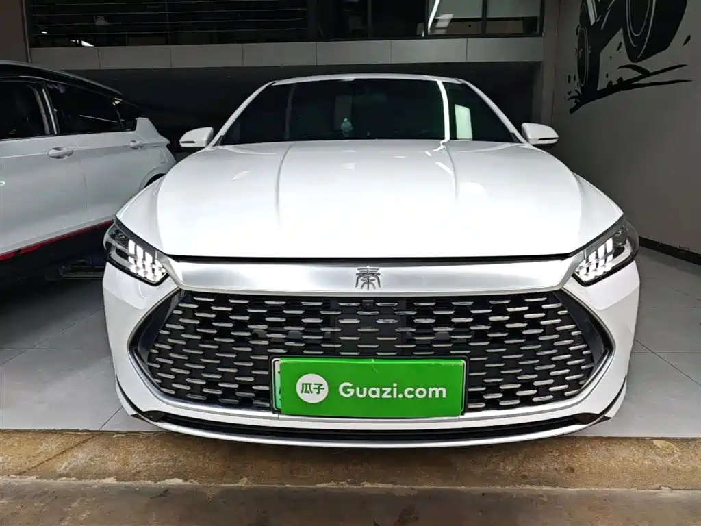 BYD Qin PLUS 2024 Glory Edition DM-i 120KM Surpass фото 3