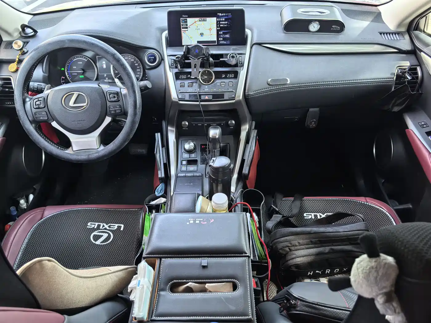 Lexus NX 2020 300h FWD F Sport China V фото 15