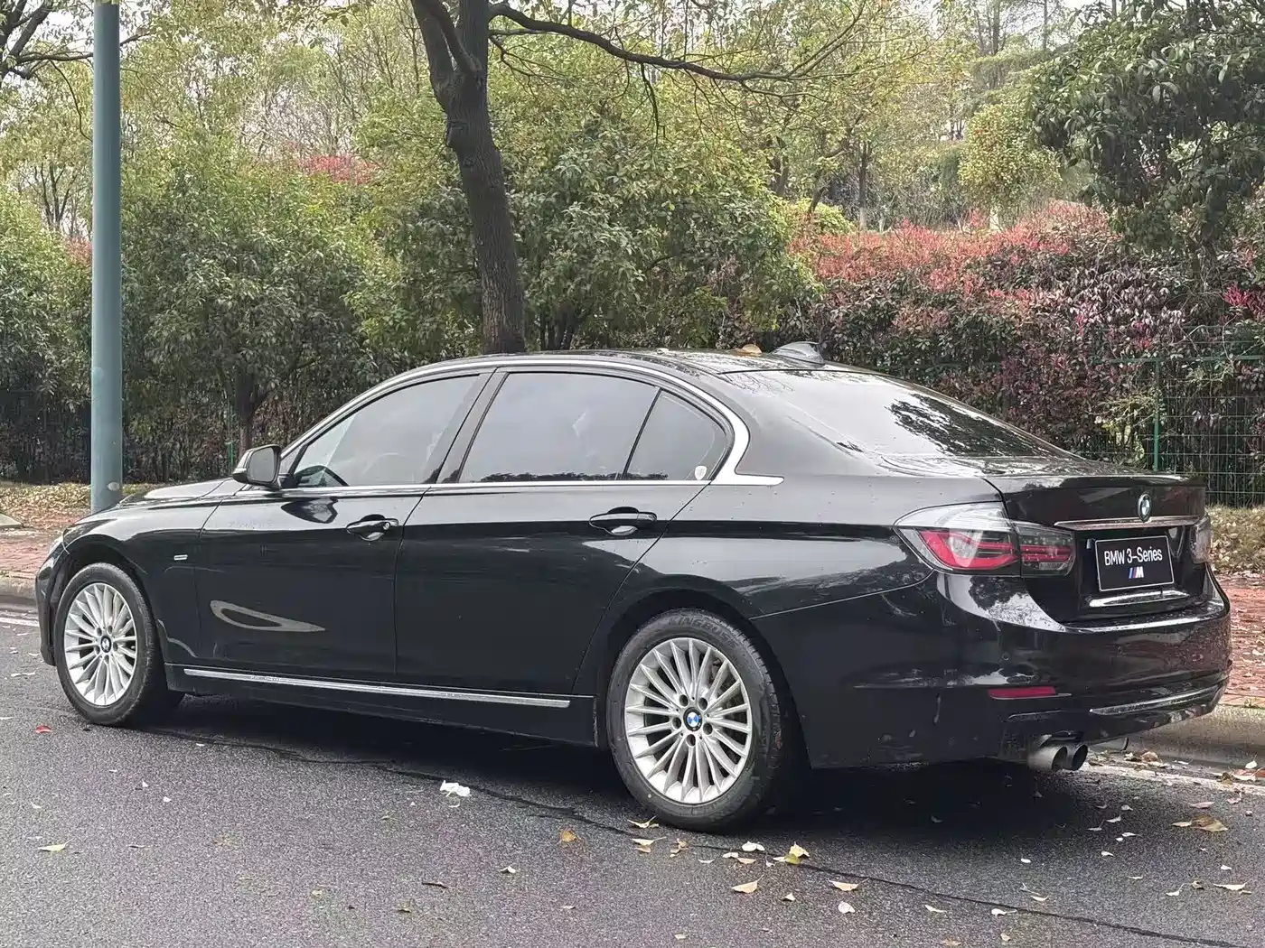 BMW 3 Series 2013 Facelift 320Li Luxury Design Package фото 9