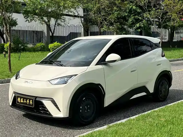 BYD Seagull 2024
