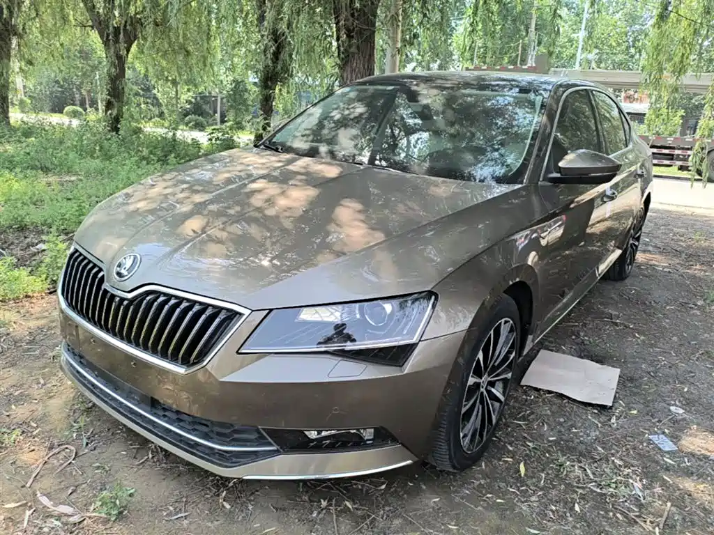 Škoda Superb 2016 TSI330 DSG Smart Edition фото 2