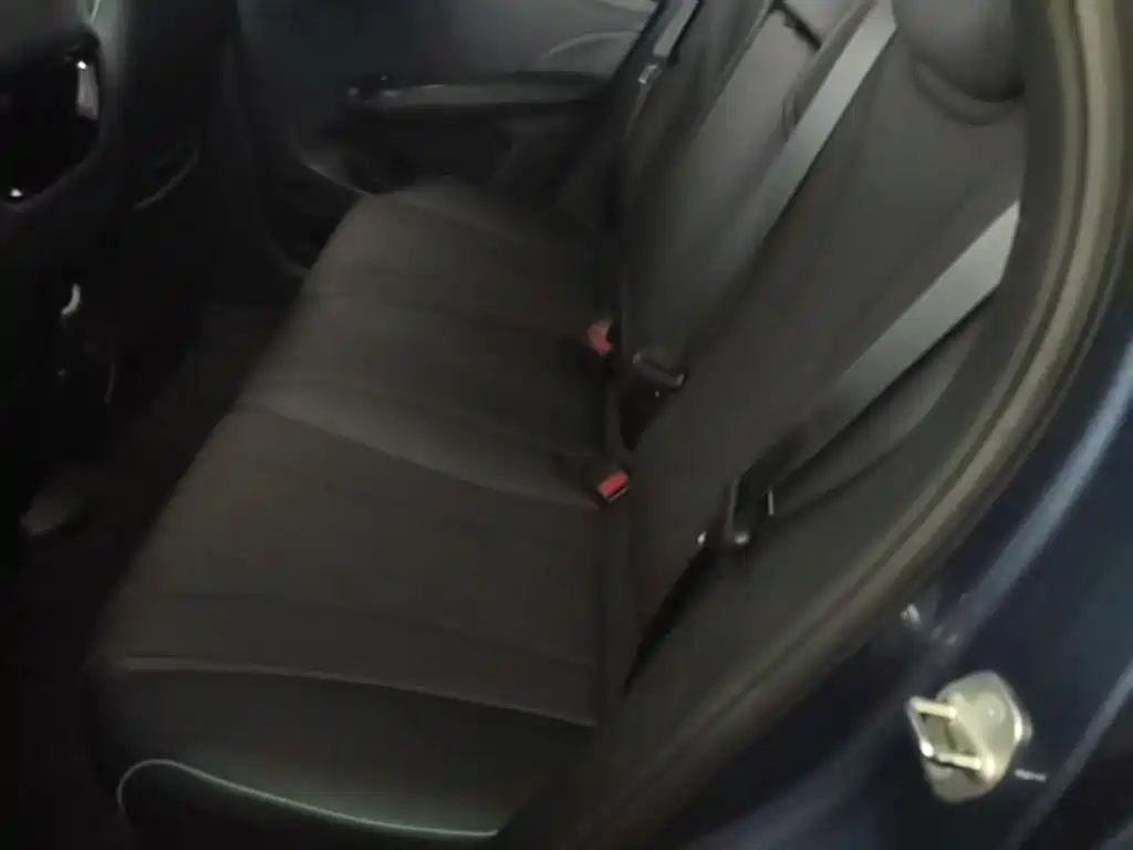 BYD Dolphin 2023 401km Knight Edition фото 17