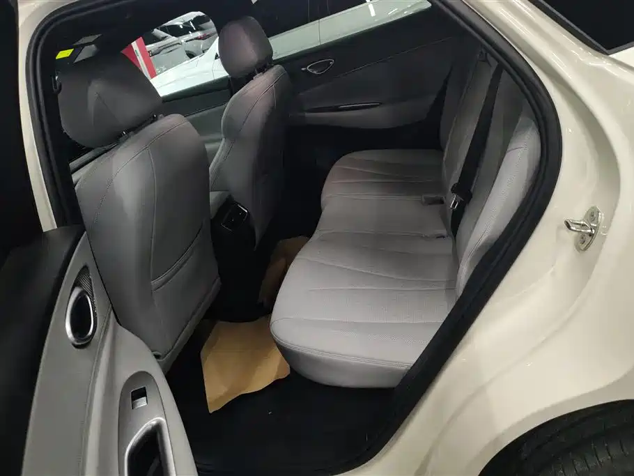 BYD Sealion 06 New Energy 2025 Model EV 520 Pilot Edition фото 11