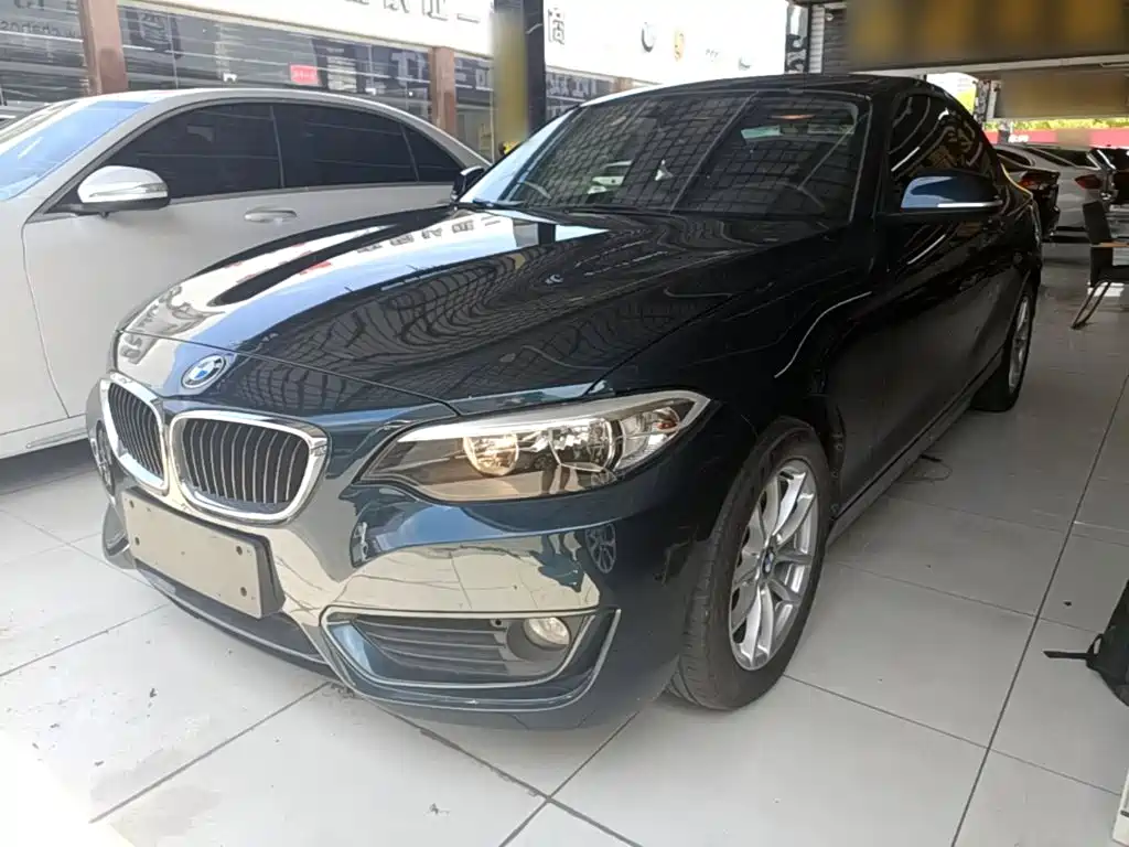 BMW 2 Series (Import) 2016 2015 218i