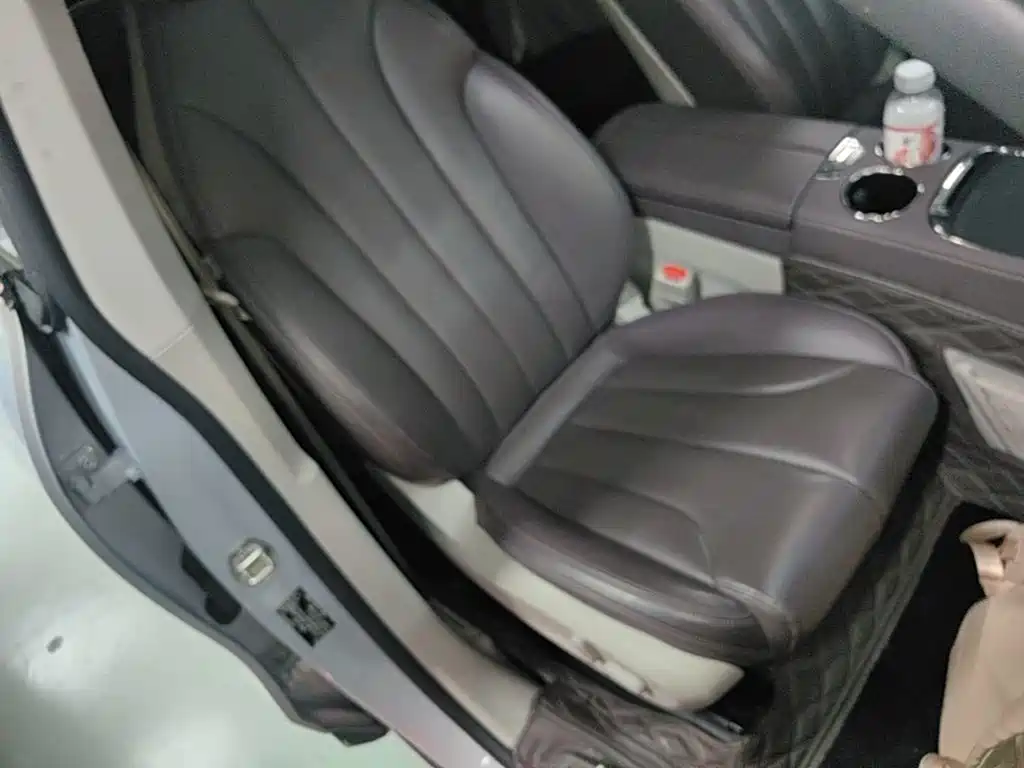 Leapmotor C11 2022 2021 Luxury Edition