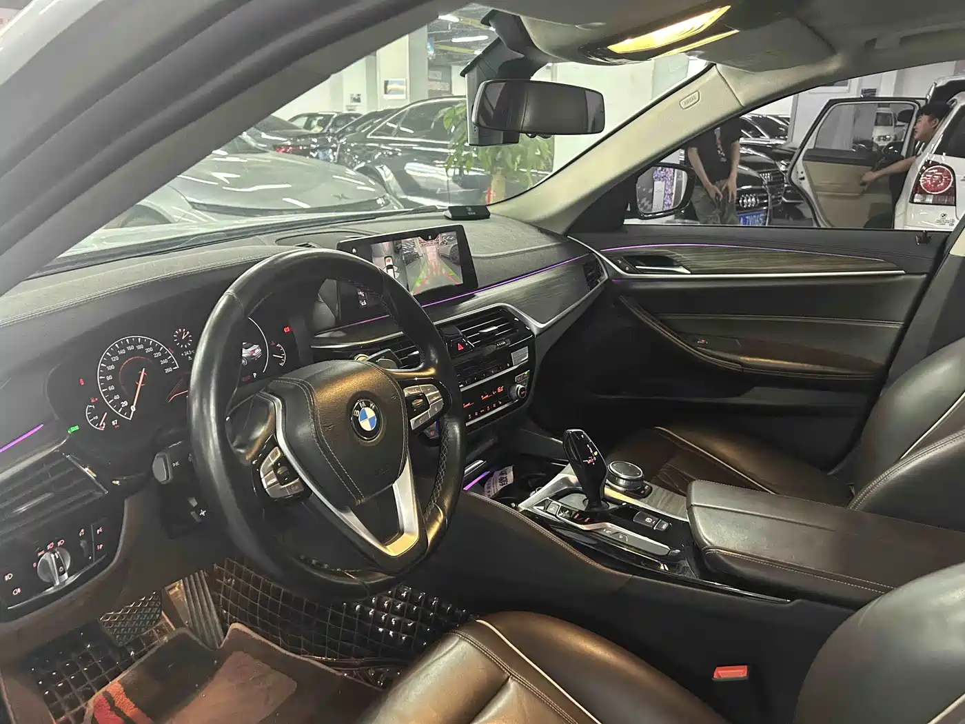 BMW 5 Series 2019 530Li xDrive Luxury Package фото 8