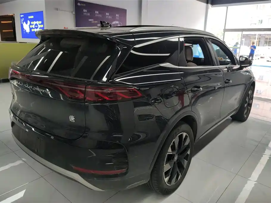 BYD Tang New Energy 2024 Model DM-i Glory Edition 112KM Flagship Type фото 3