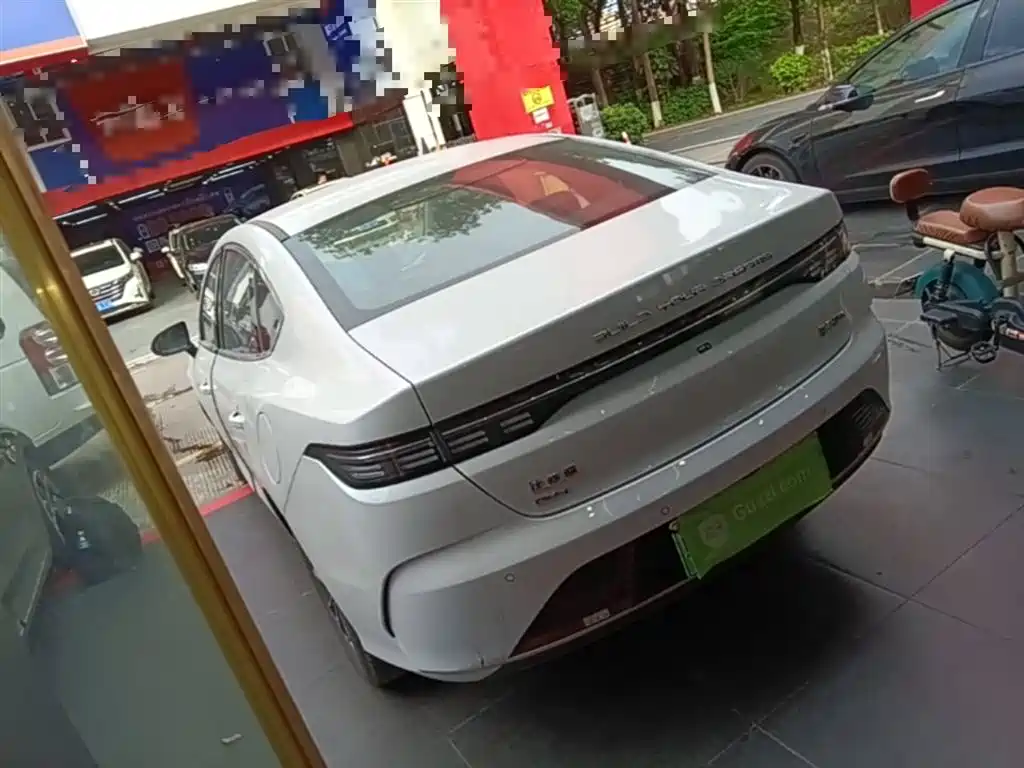 BYD Destroyer 05 2024 Glory Edition DM-i 55KM Luxury фото 5