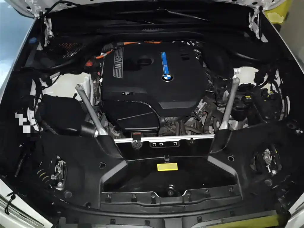 BMW 5 Series New Energy 2020 530Le Range Upgrade Luxury Package фото 21