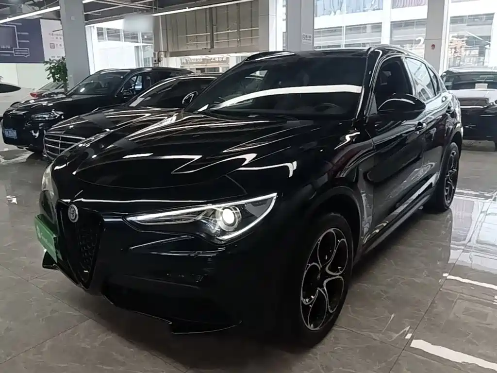 Alfa Romeo Stelvio 2021 2020 2.0T 280HP Luxury Edition
