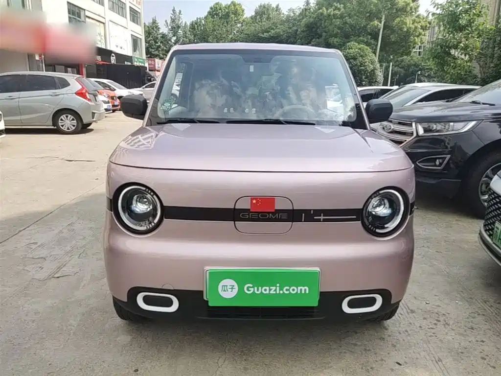 Geely Galaxy Panda 2025 Panda mini 210km Vitality Bear фото 3