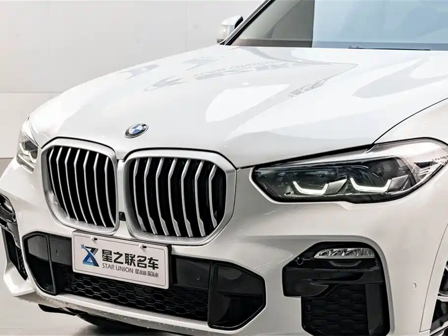 BMW X5 (Import) 2019 xDrive30i M Sport Package фото 4