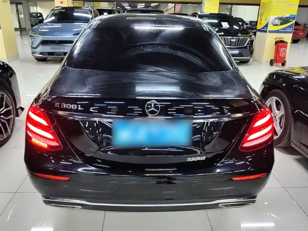 Mercedes-Benz E-Class 2020 E 300 L Luxury Model фото 6