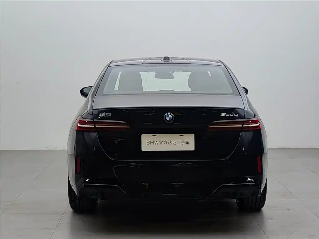 BMW 5 Series 2024 530Li Leading M Sport Package фото 5