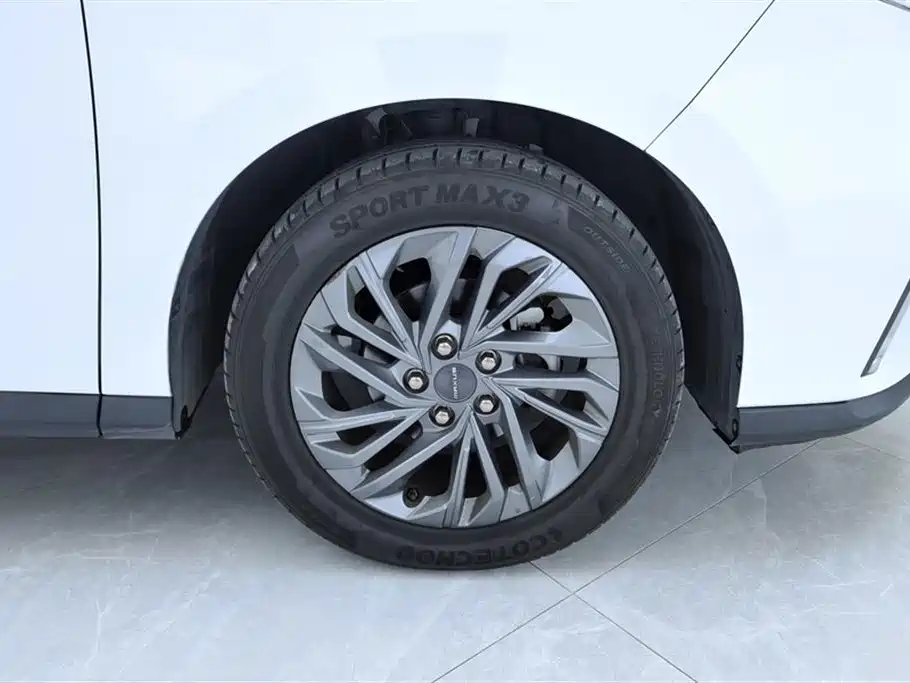 SAIC MAXUS CHASE G50