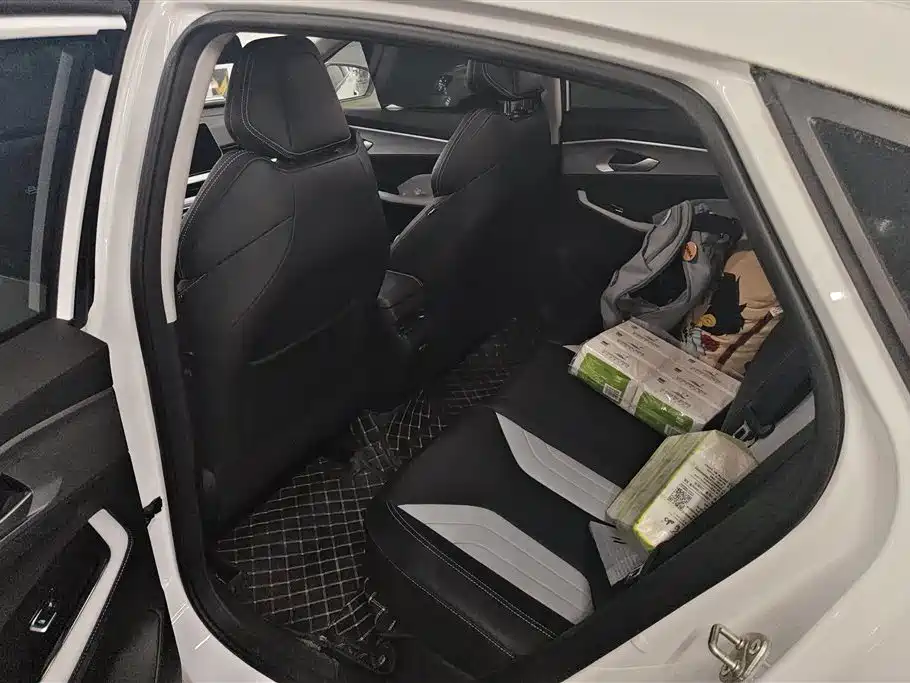 GEELY AUTOMOBILE BINRUI