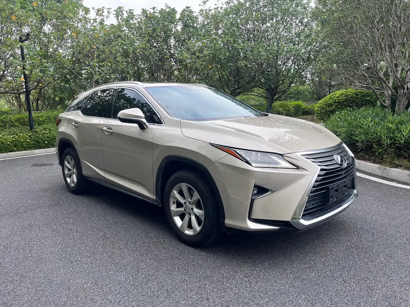 LEXUS RX