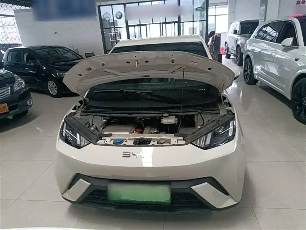 BYD Seagull 2024 Glory Edition 305km Vitality Edition фото 20