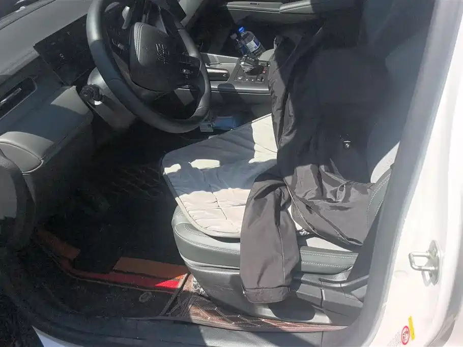 BYD Qin PLUS 2025 DM-i Smart Drive 55KM Leader фото 9