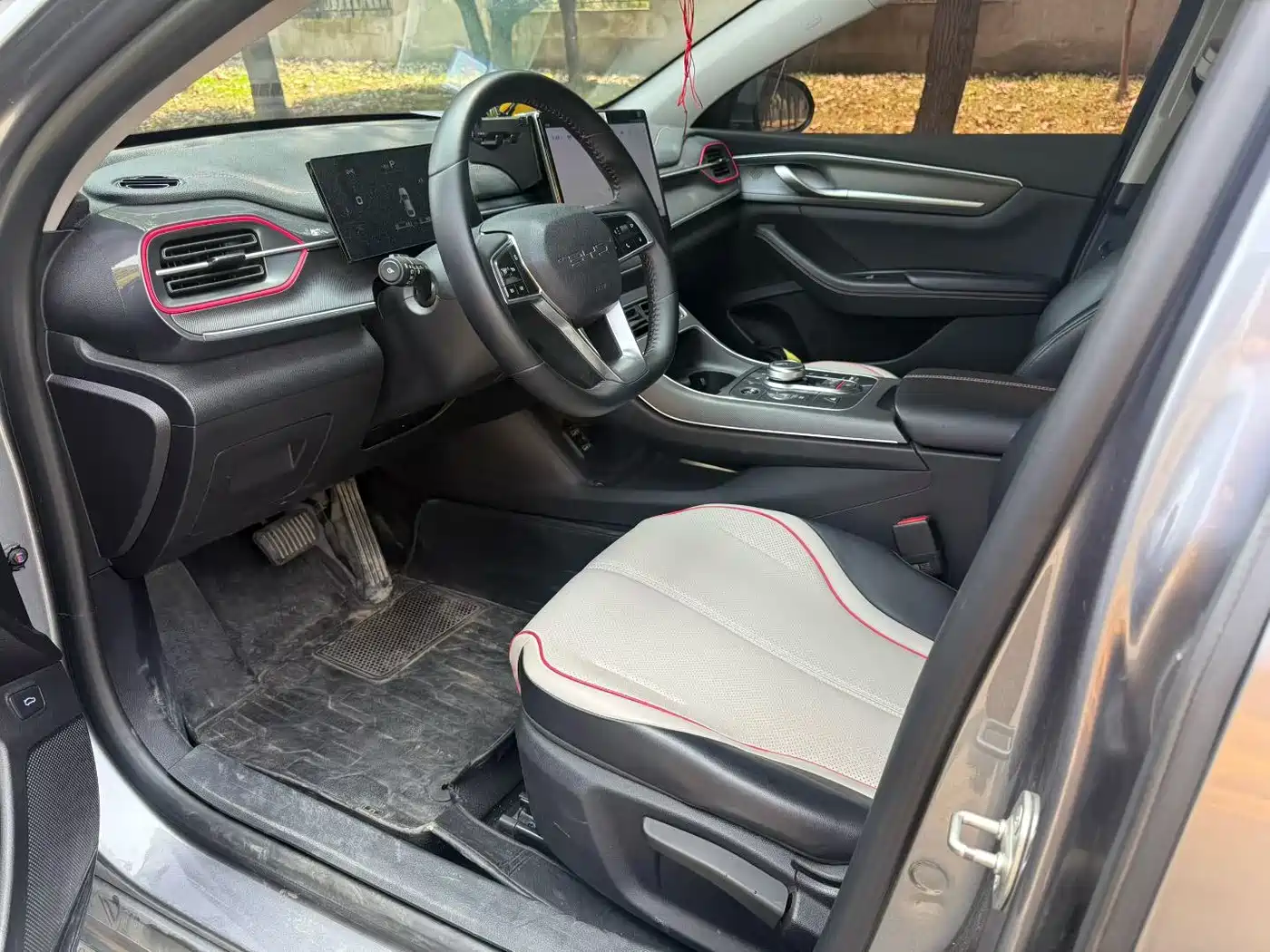 BYD Destroyer 05 2023 Champion Edition DM-i 55KM Luxury фото 3