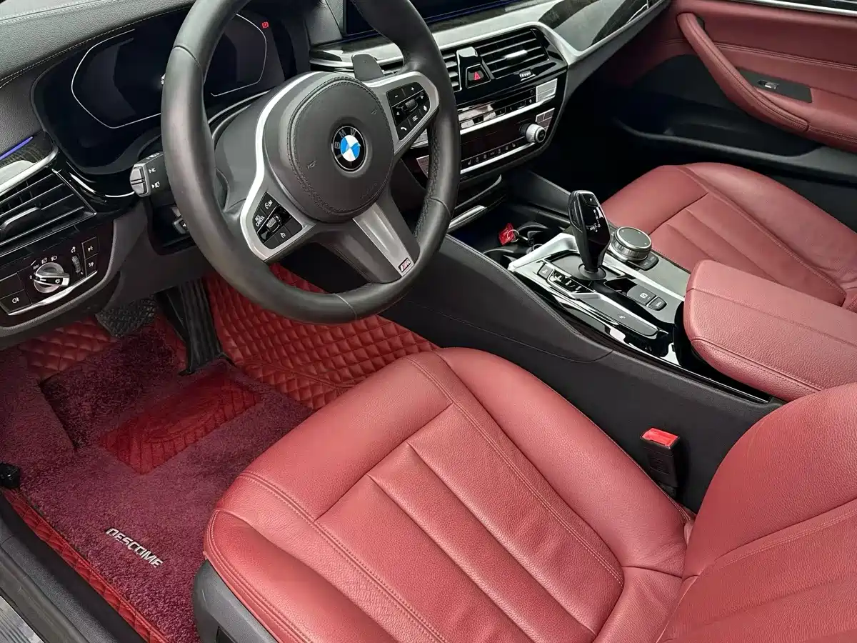 BMW 5 Series 2020 530Li Leading M Sport Package фото 4
