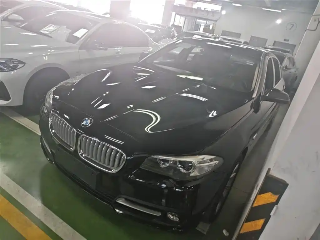 BMW 5 Series 2014 535Li Leadership фото 2
