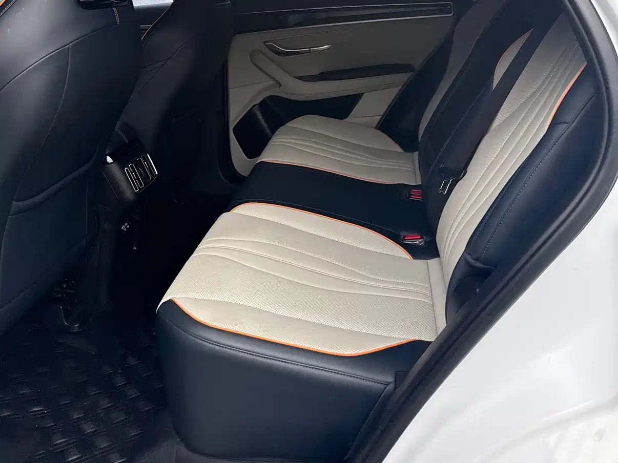 BYD SONGJIANG NEW ENERGY