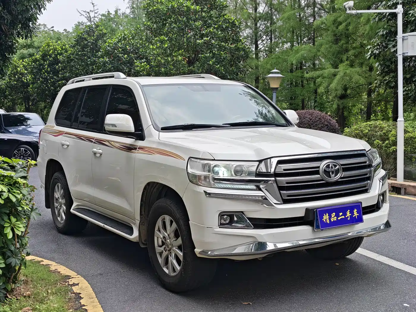 Toyota Land Cruiser (Import) фото 3
